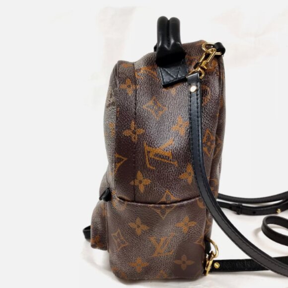 Mini Palm Springs Louis Vuitton Backpack - Picture 6 of 14